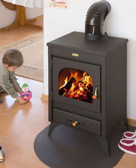 Wood Burning Stove Prity